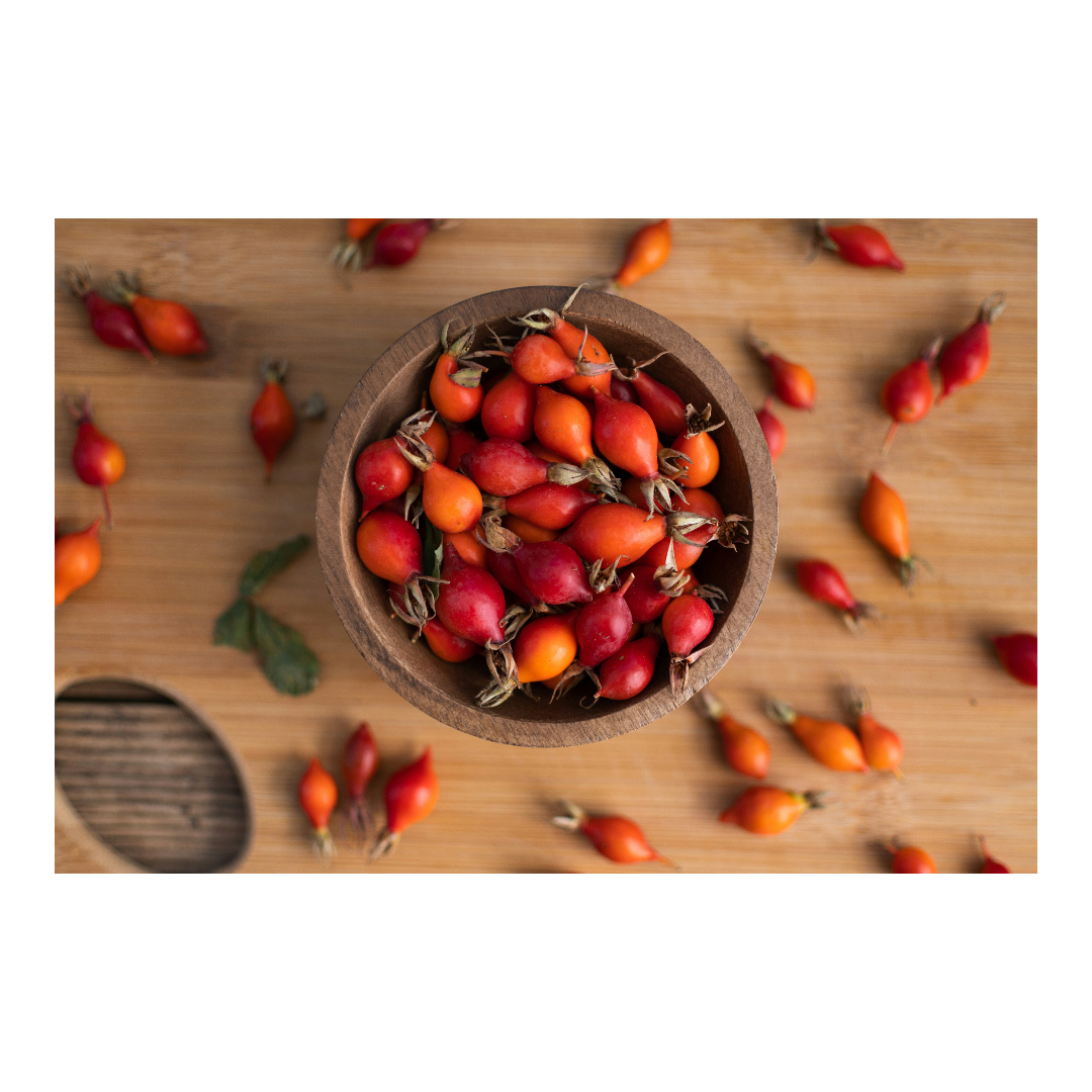Fall Harvest: Rose Hips Uses and Vitamin C Power