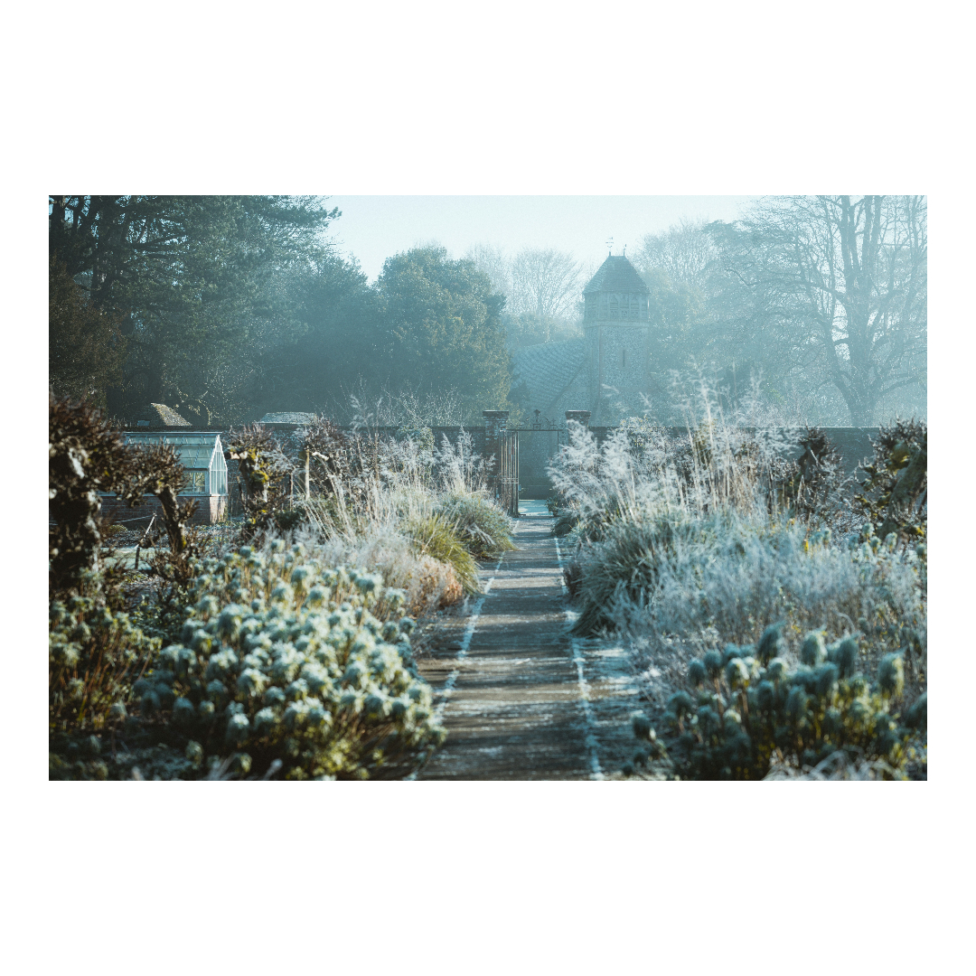 5 Ways to Prep the Garden for the Winter