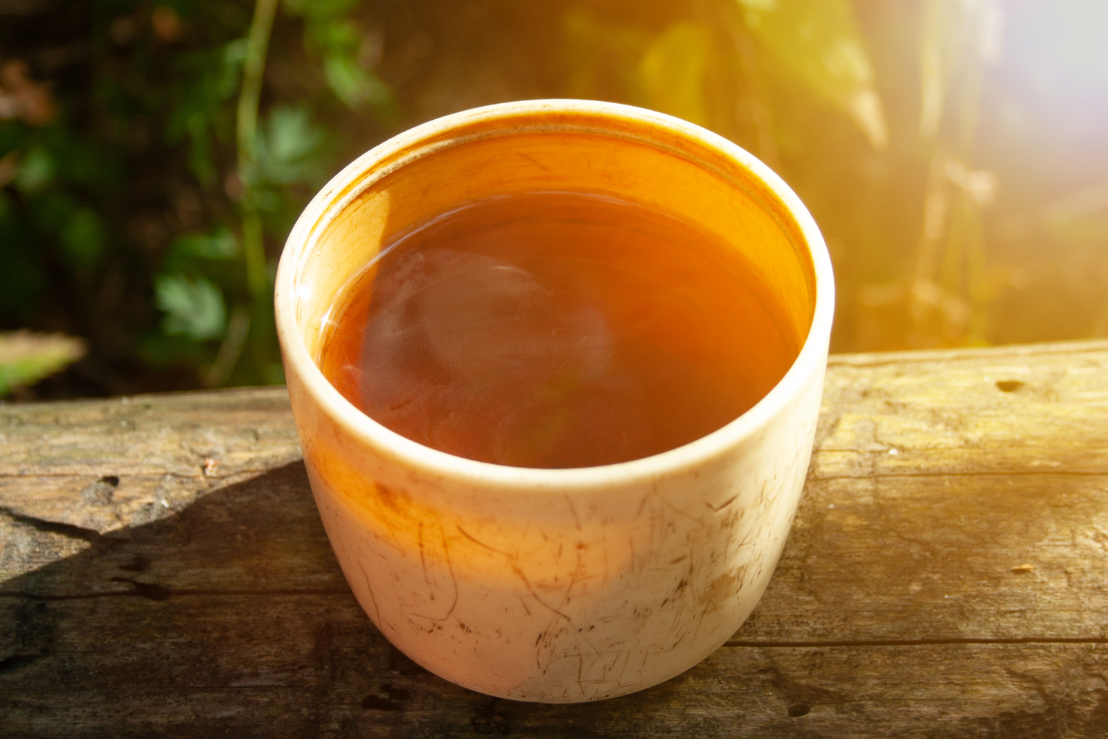 Herbal Teas from Wild Plants: Unlocking Secrets Steeped in the Wild