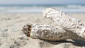 White sage smudge sticks