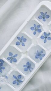 Edible flowers in the kitchen